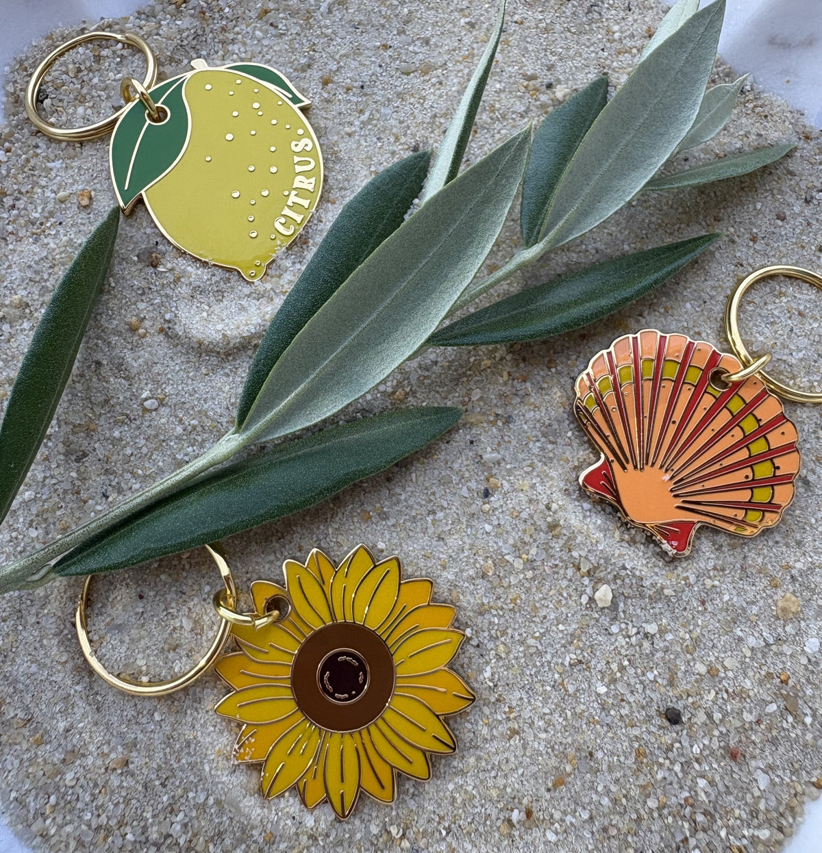 Collection Soléa