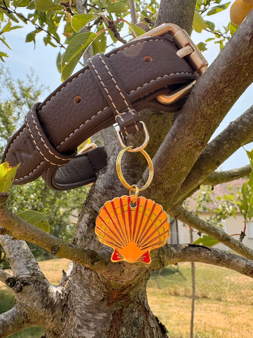 Médaille Cassis