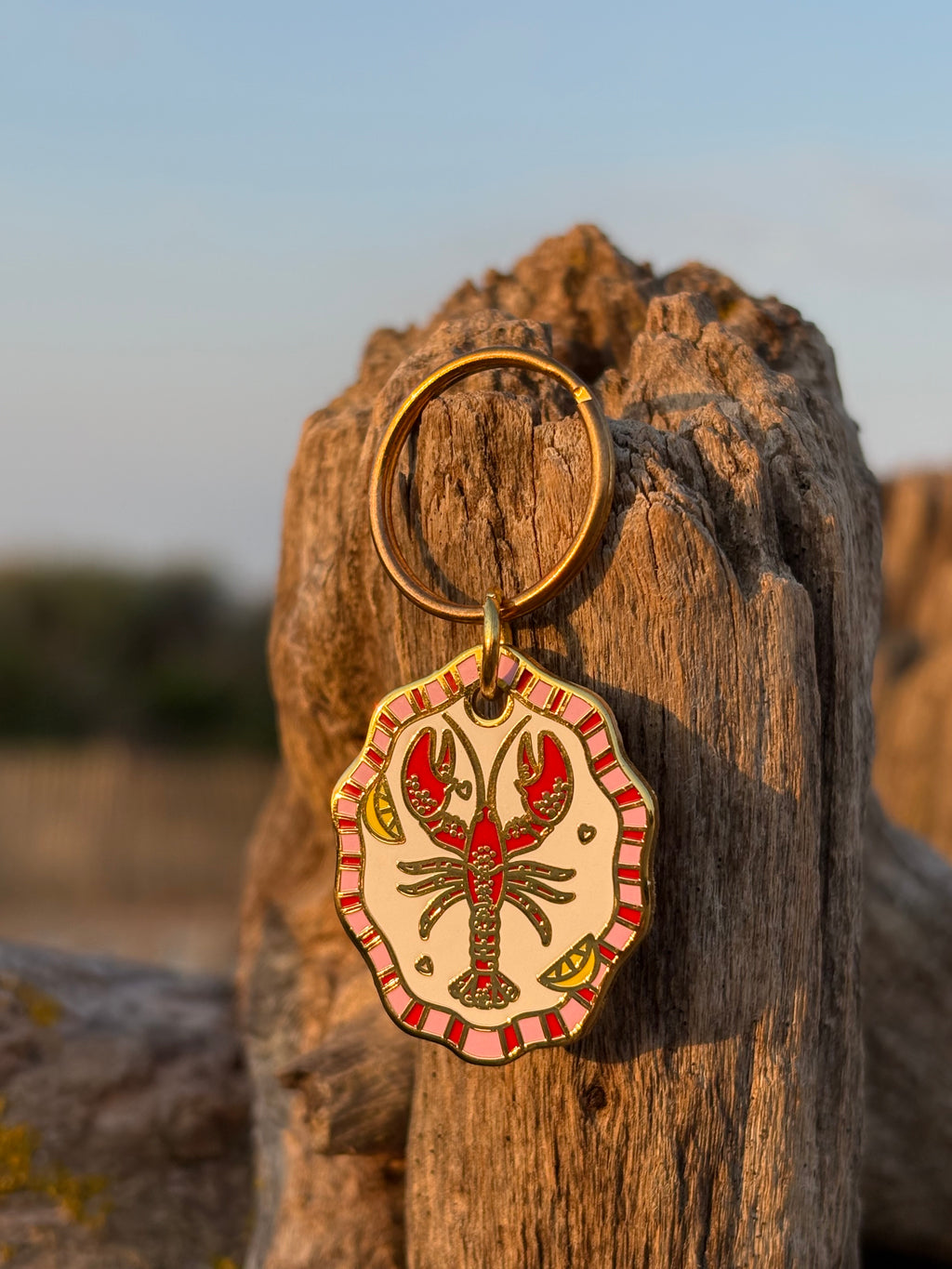 Médaille Marius