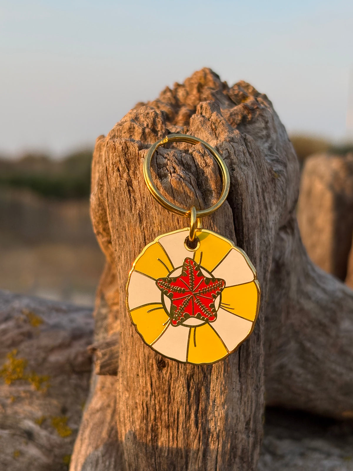Médaille Riva