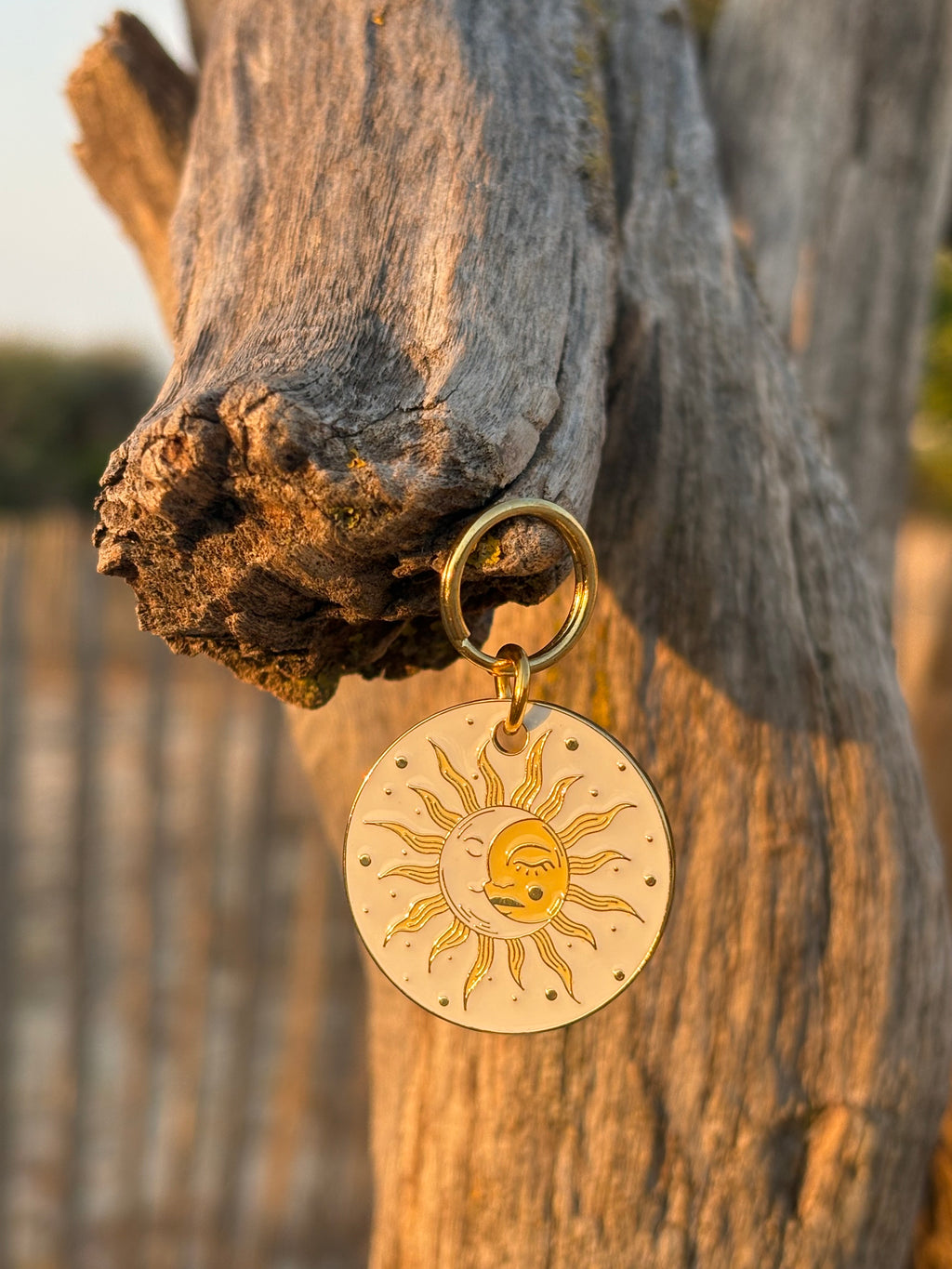 Médaille Solstice