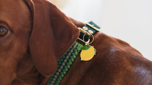 Médaille Amalfi